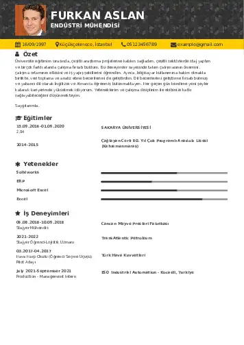 Endüstri Mühendisi CV Örnekleri cv indir